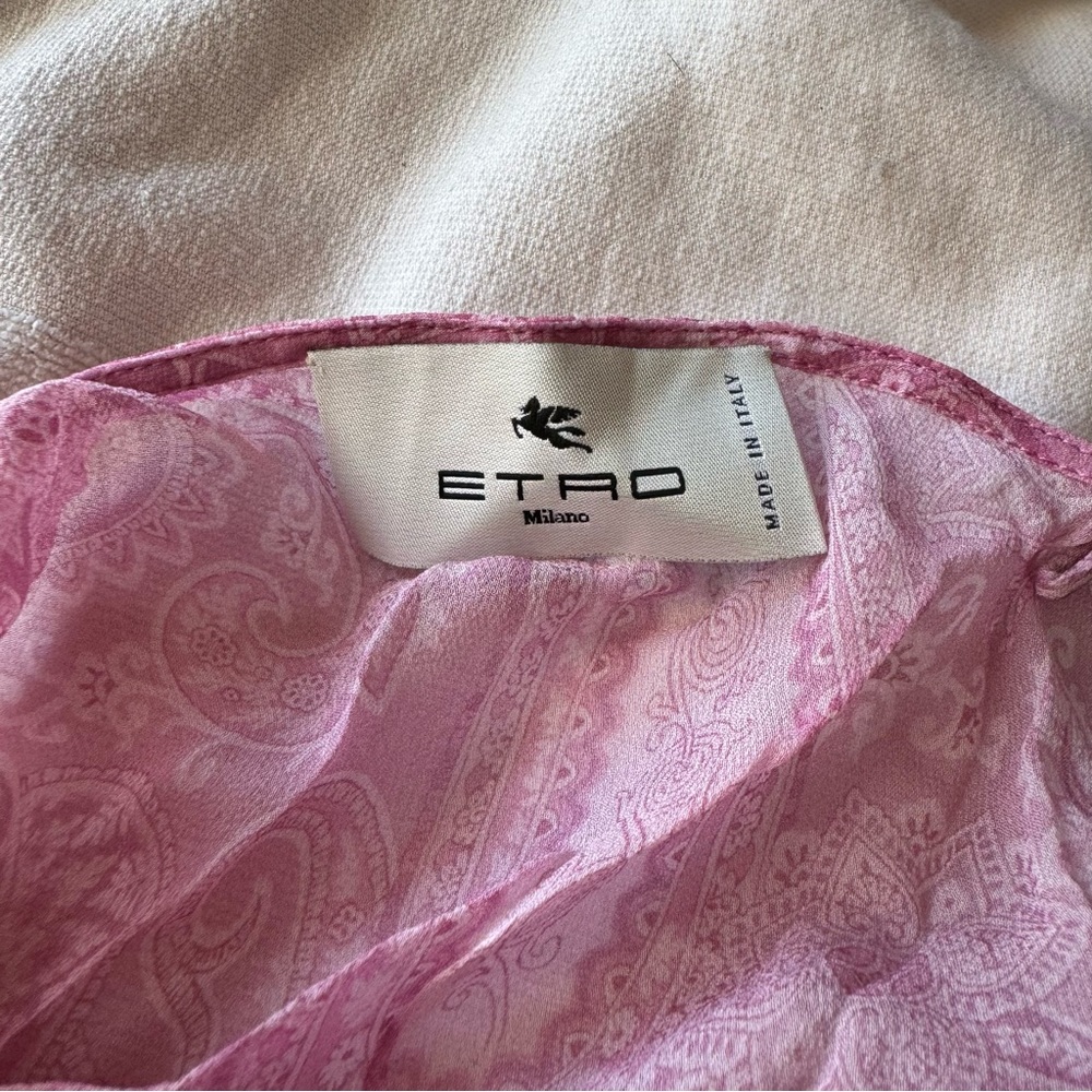 Etro Pink Paisley Sheer Silk Long Dress - Picture 9 of 11